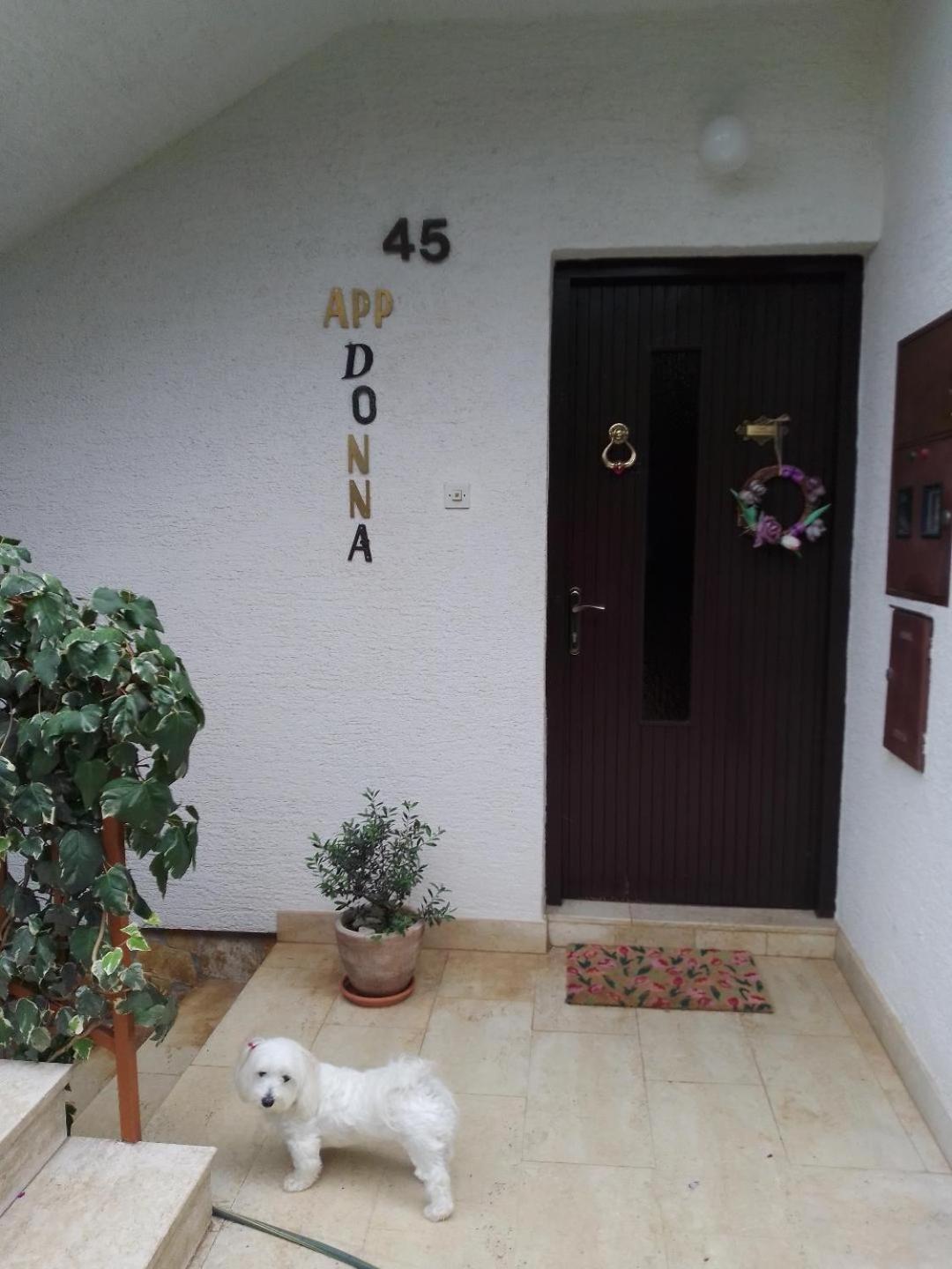 Apartmani Donna 波雷奇 外观 照片