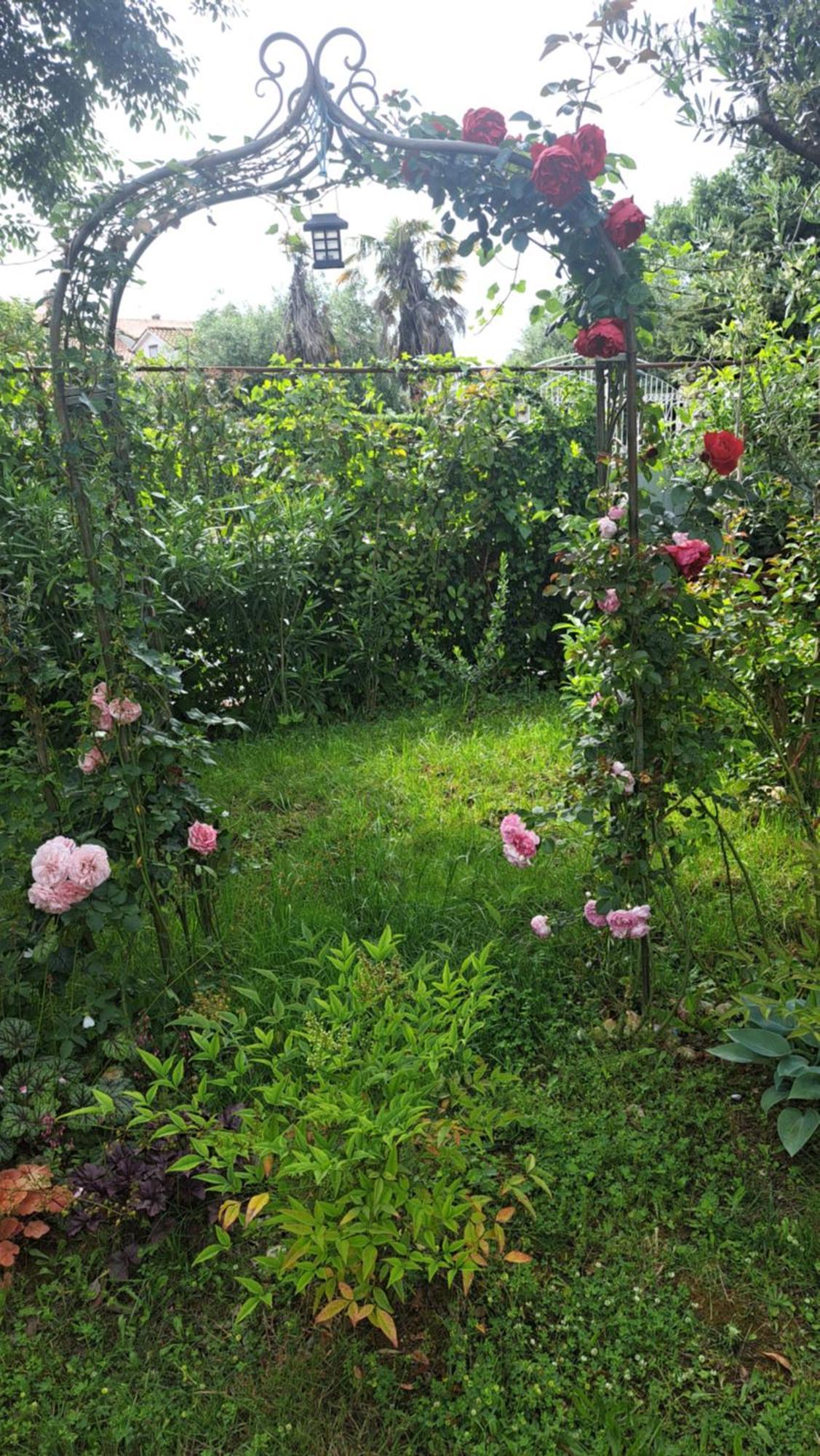Apartmani Donna 波雷奇 外观 照片