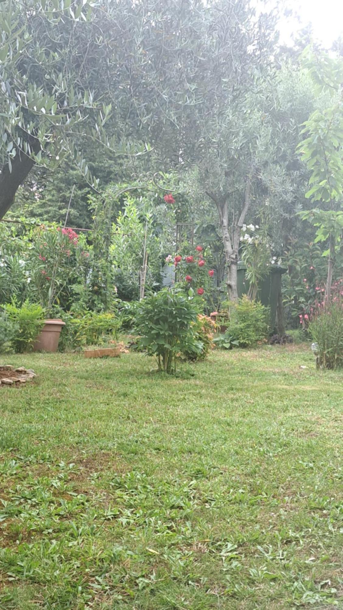 Apartmani Donna 波雷奇 外观 照片