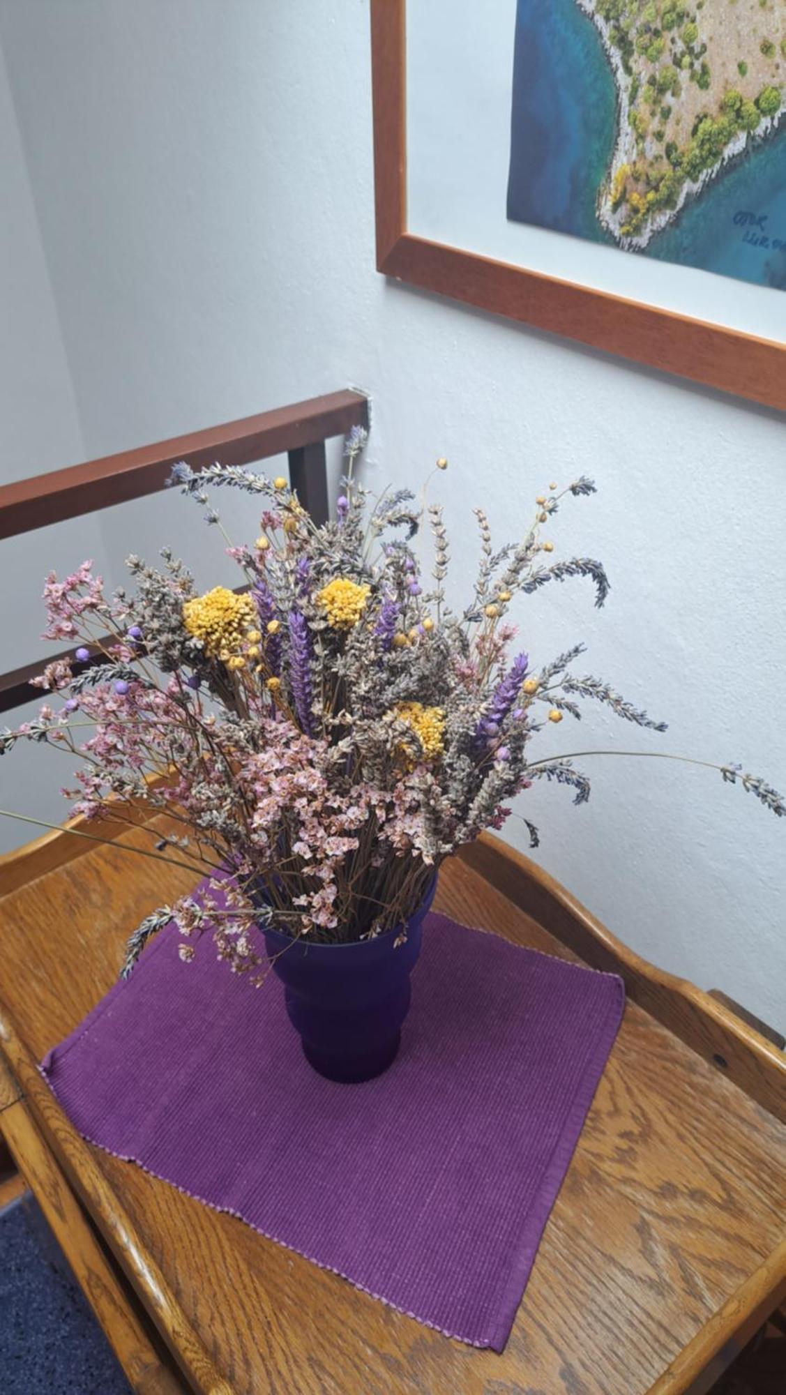 Apartmani Donna 波雷奇 外观 照片